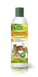 Шампунь