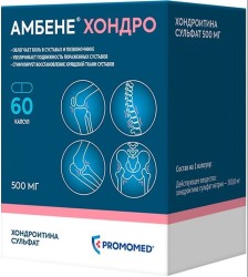 Амбене Хондро